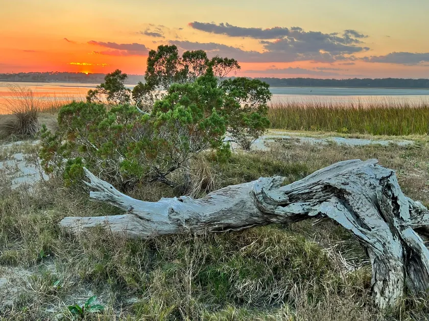 Explore the beauty of Amelia Island! Walk to beach - Image 1