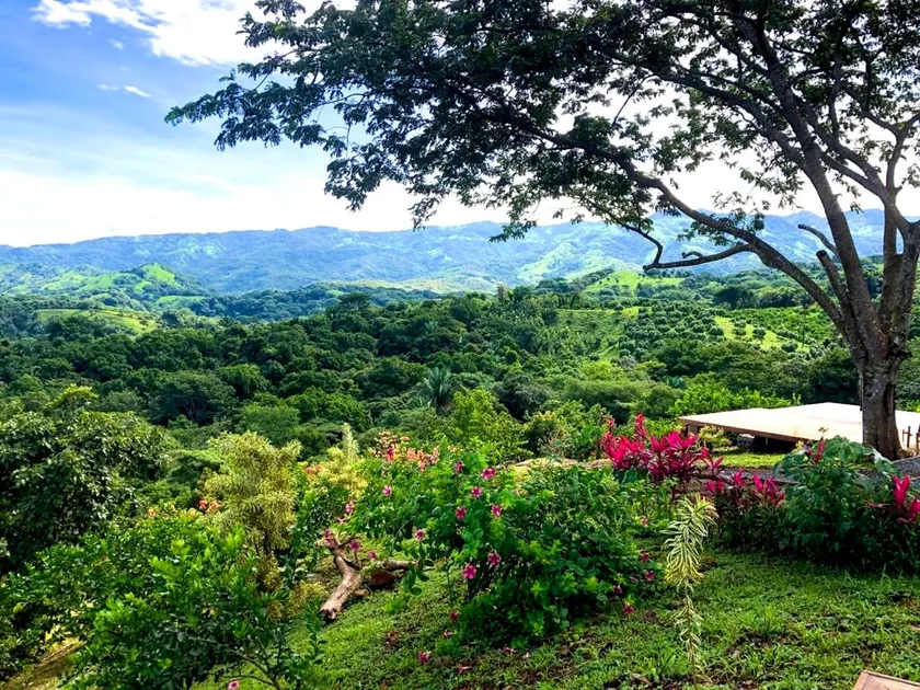 Luxury Villa Caoba- Private, Serene, Amazing Views and Starlink - Image 1