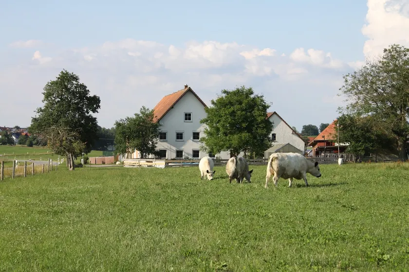 Traubshof - Peace and Nature 3 - Image 1