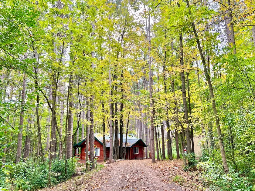 Peaceful Cabin in the woods - Image 1