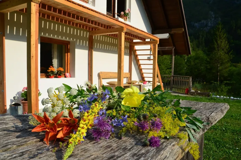 Soča Home With The View - Image 1