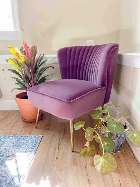 Little Sprout, Brand New Apartment Near the Beach! - Image 1