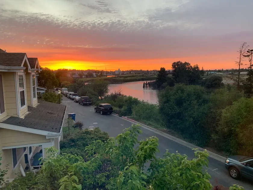 River's Beauty - Image 1