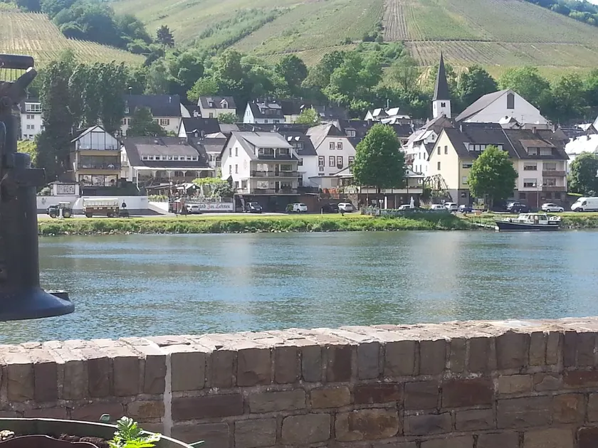 Vacation apartment Moselle vacation in Zell (Moselle) - Image 1