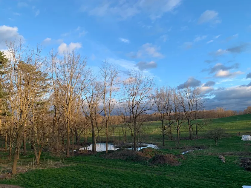 Restoration Farm - Simple & Sustainable Living - Image 1