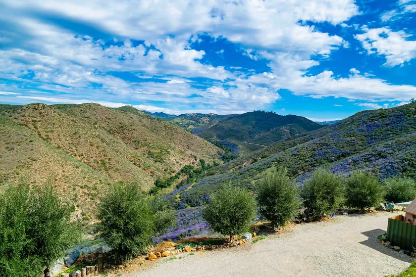 Guesthouse: spectacular vistas, privacy and nature - Image 1
