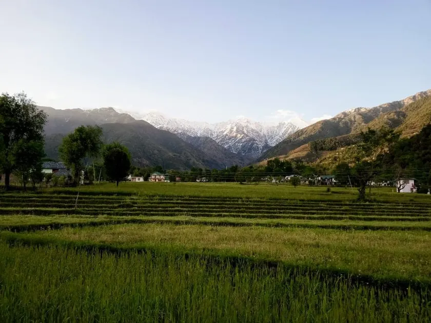 Dharyaal Homestay - Image 1