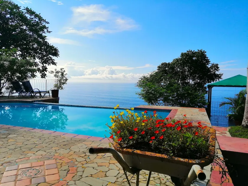 Buho Cabin: Treetop Ocean Views & Pool - Image 1