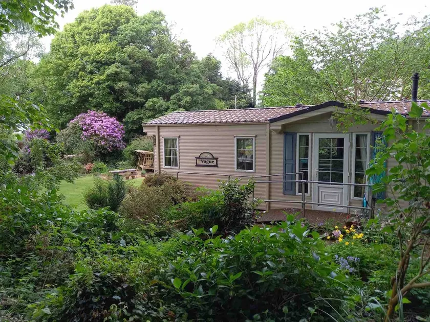 Snowdonia Woodland Retreat - Image 1