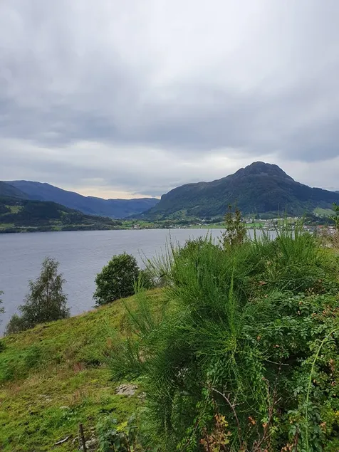 Sandeidfjorden overnatting - Image 1