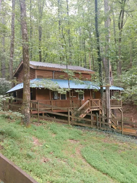 Black Bear Necessities Cabin - Image 1