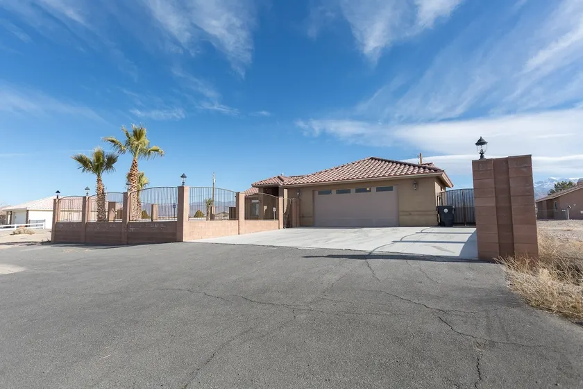 Dandelion Court~Flower of the Desert - Image 1