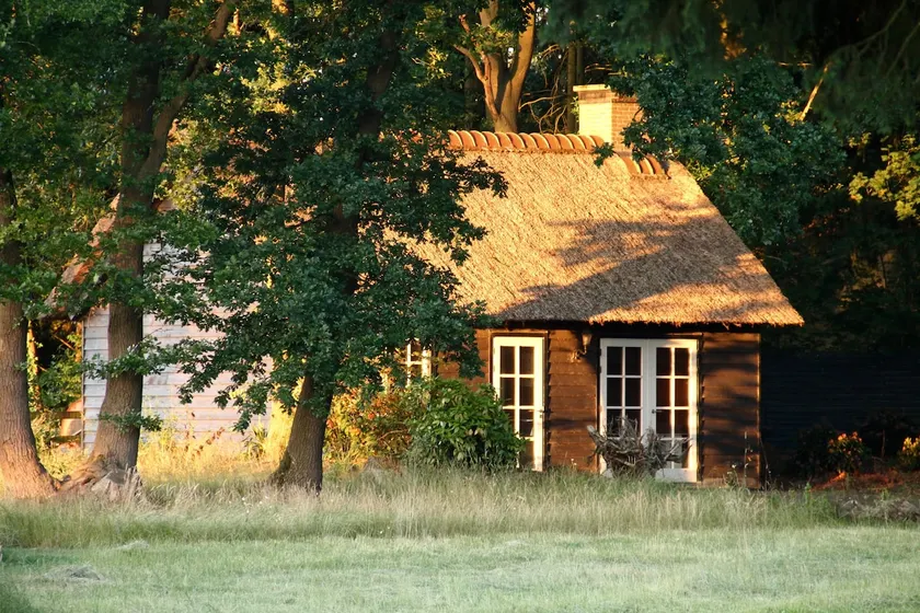 Friend's House - Image 1