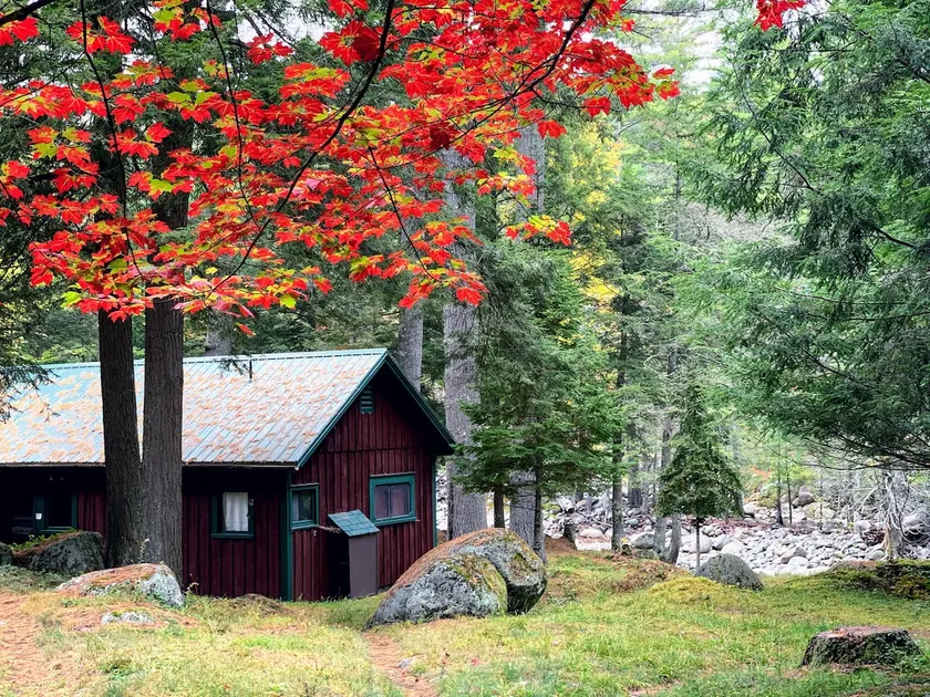 Peaceful Adirondack Cabin right on John's Brook - Image 1