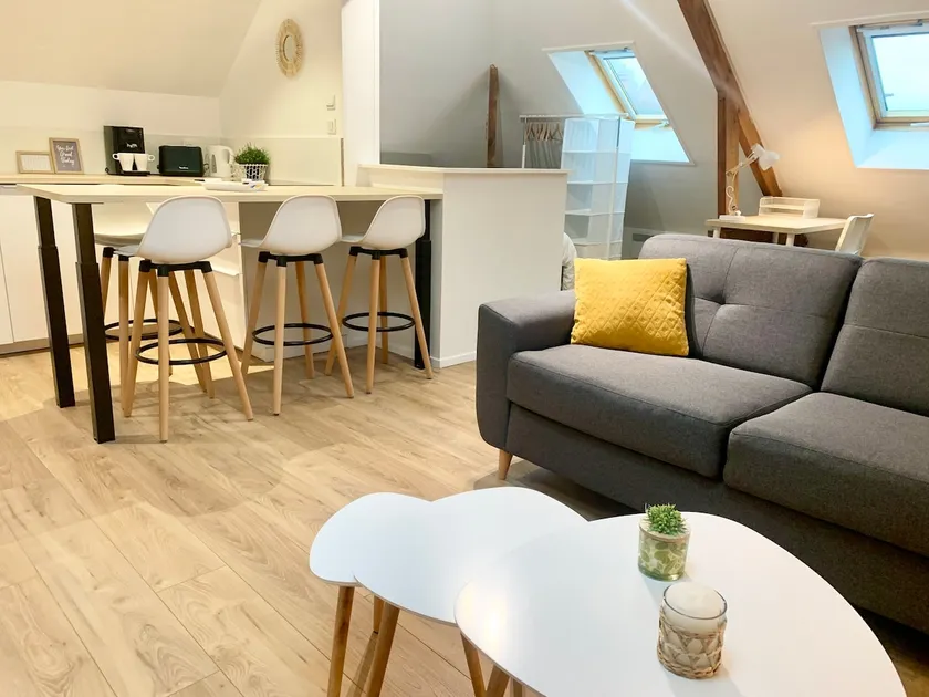 ✨ Le Comblé, ✨Large Cozy Studio in Town - Image 1