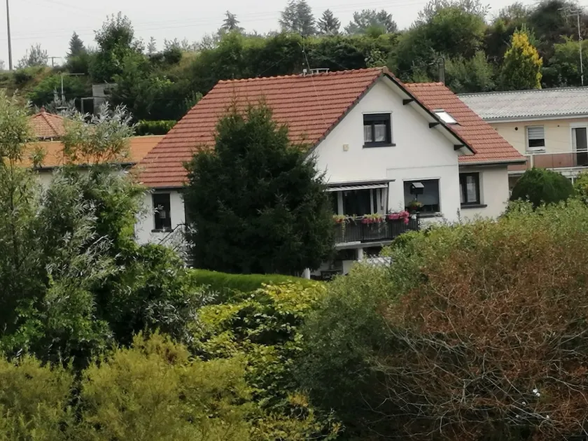 Small green area on the edge of the Moselle - Image 1