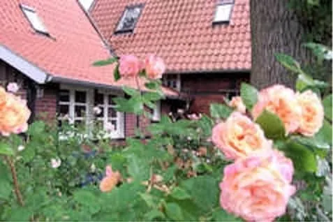 Country house on the Dahlberg with the ”Old Bakery” - Image 1