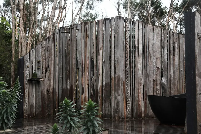 Tea Tree Hollow - A Home To Lose Oneself - Image 1
