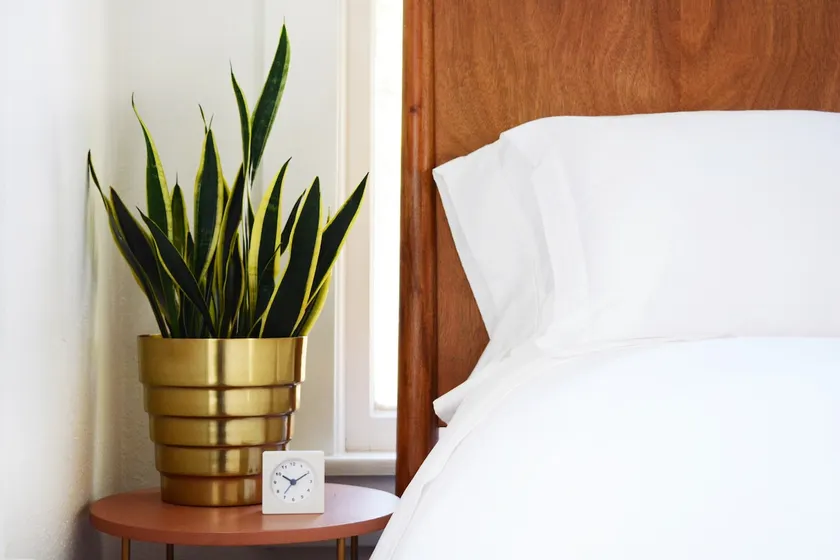 Urban Guesthouse with Outdoor Space and Breakfast - Image 1