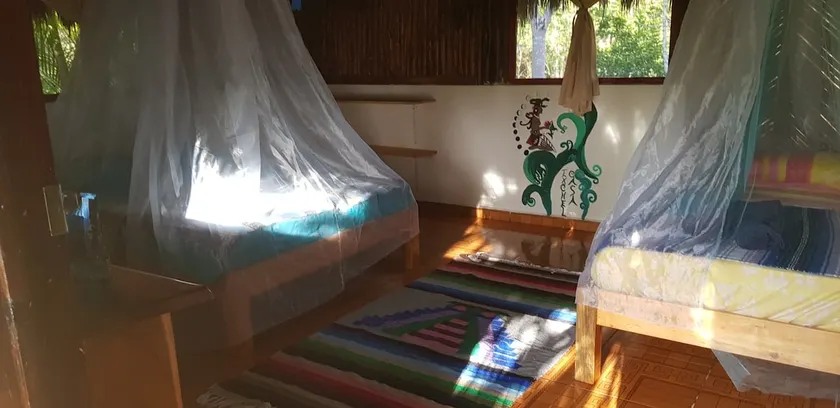 Casa Ixchel, a paradise in the heart of the jungle - Image 1