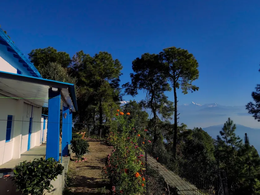 WFH-ready Cabin in Tea Estate Facing the Himalayas - Image 1
