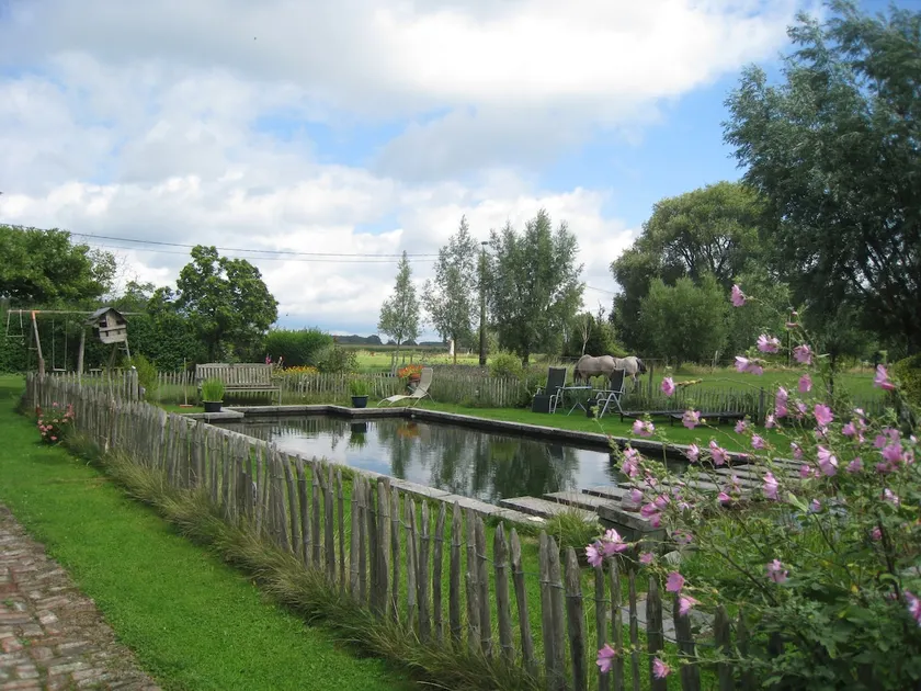 House in the fields with swimming pond and petanque court - Image 1