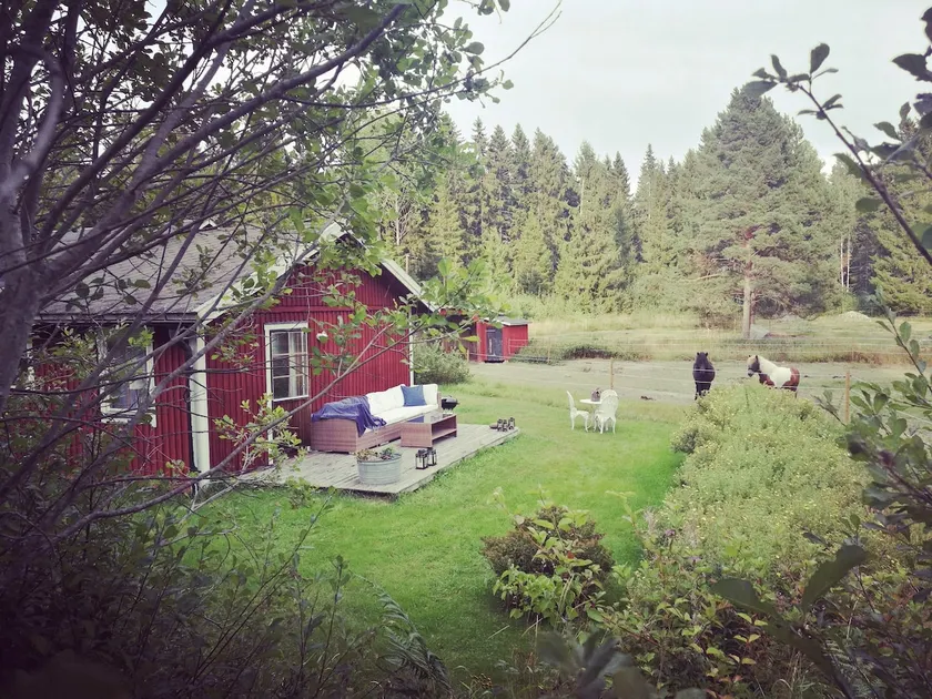 Farmhouse on horse farm with proximity to lake and sea - Image 1