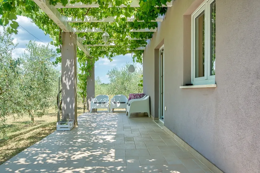 Country house Olivea in Istria - Image 1