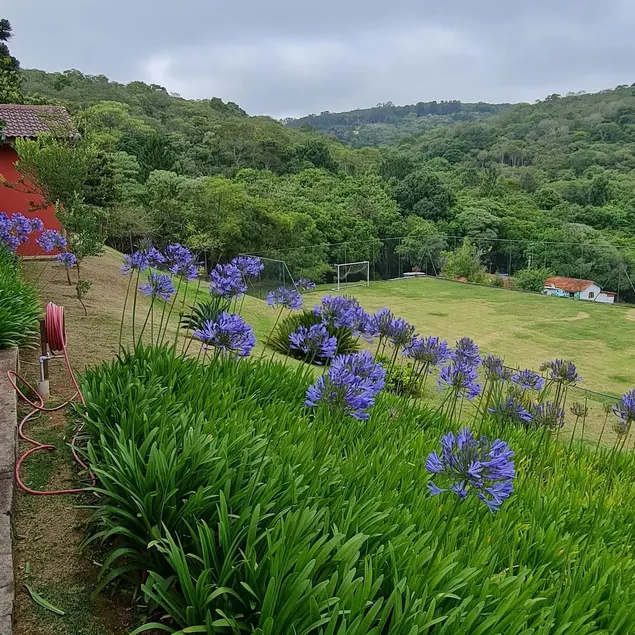 Comfortable country house with wonderful view. - Image 1