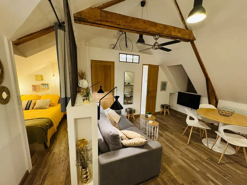 Le Néo au 17, cozy apartment, historic center - Image 1