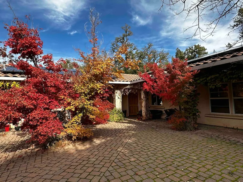 Artist's Suite | EV Charger | Pet Friendly - Image 1