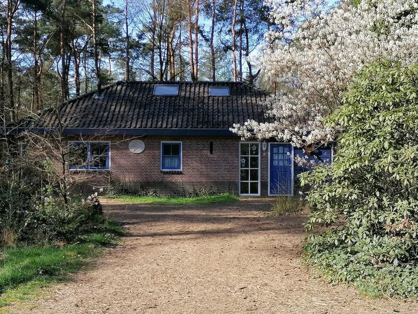 Belle maison près de la forêt et de landes à Otterlo - Image 1
