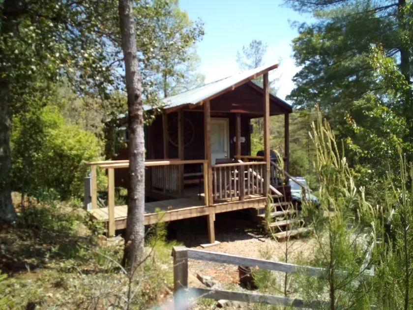 cozy mountain cabin near rafting, dog ok with fee - Image 1