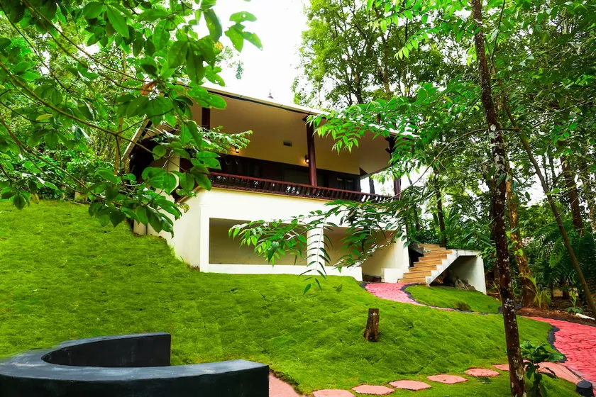 Green Garden Lotus - Image 1