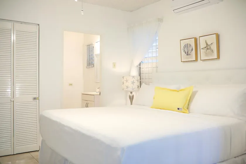 New Kingston's Deluxe Apartment - Image 1