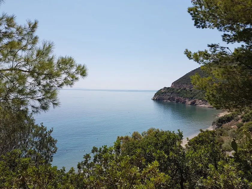 Beachfront Villa Panos with panoramic sea views - Image 1