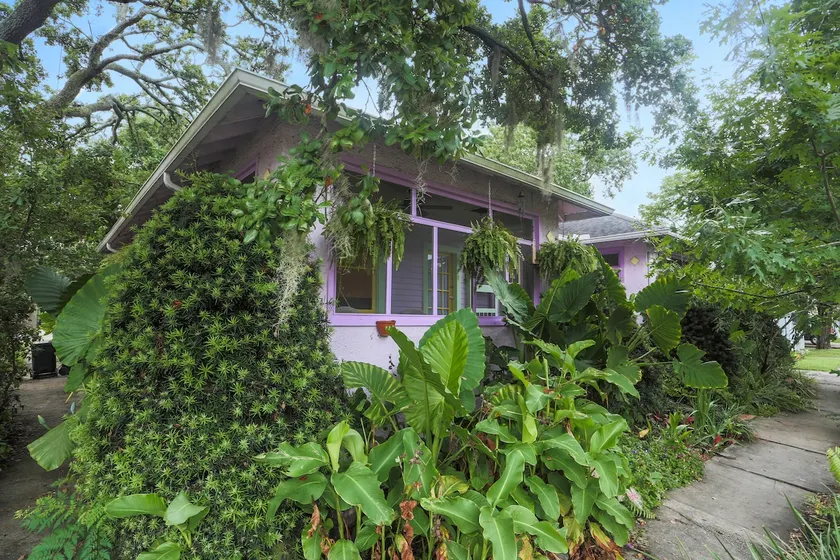 The Purple House by Tulane - Image 1