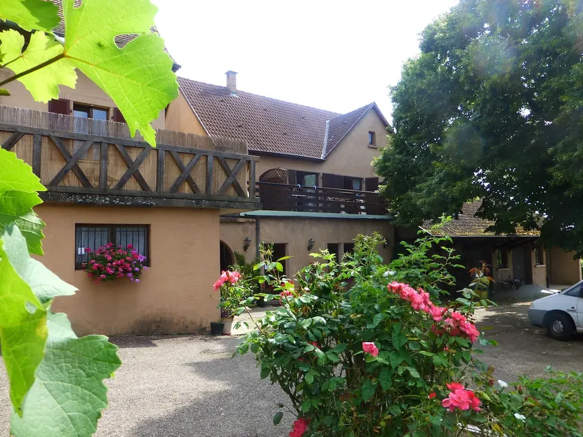 ”Riesling” gîte in organic wine estate. - Image 1