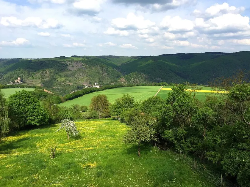 FeWo Lurelei 150 sqm with dream view for 4 to 9 people - Image 1