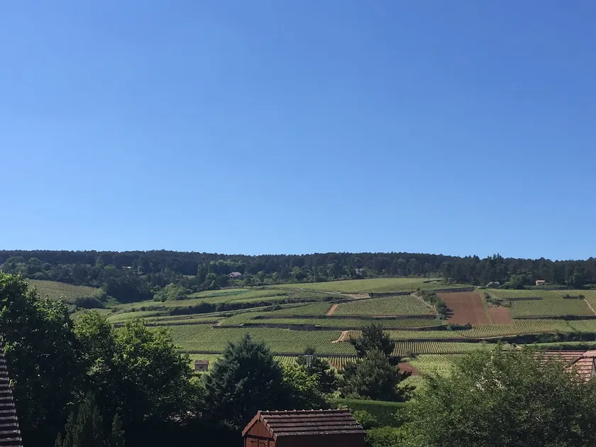 Entire house in the heart of the vineyards - Image 1