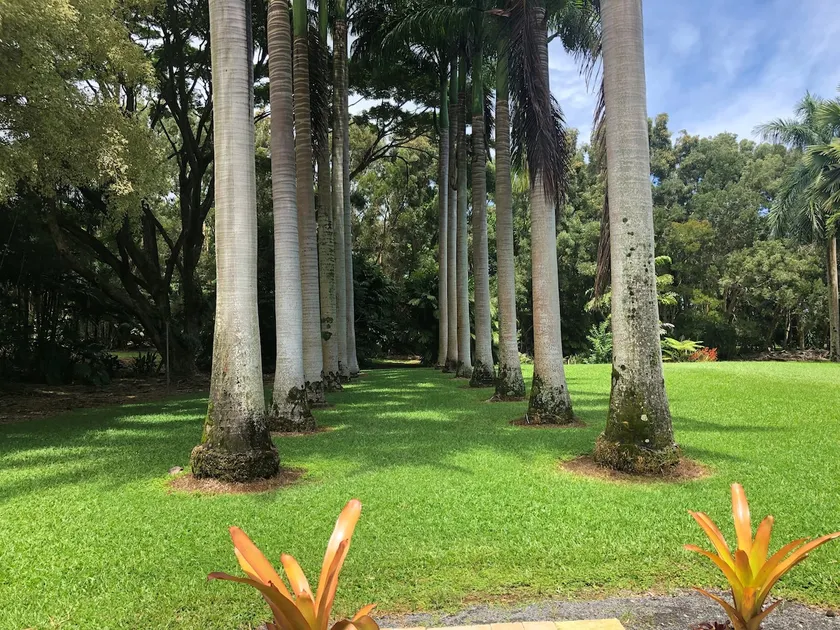 Royal Palm Cottage Hawaii - Image 1
