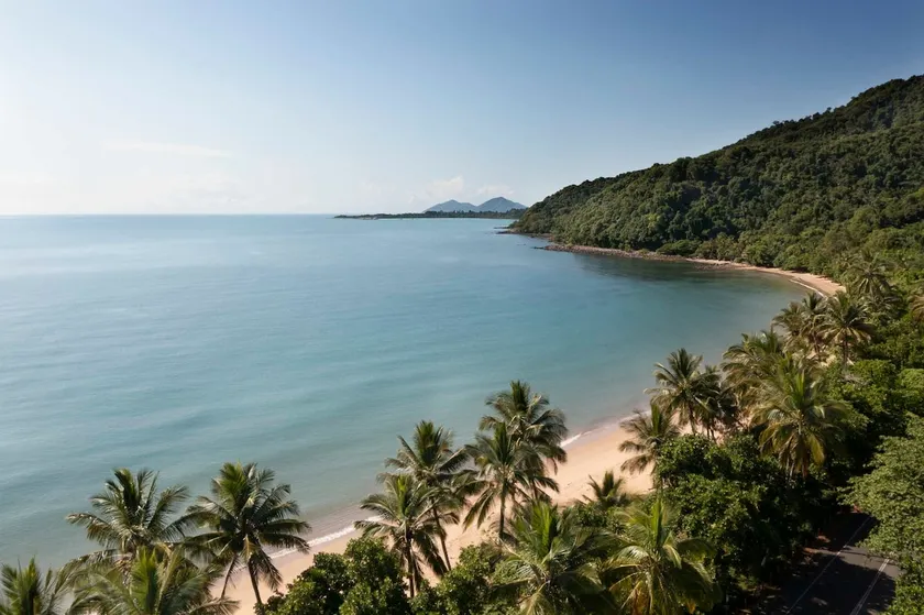 ”Friends at Bingil” Mission Beach, rainforest view - Image 1