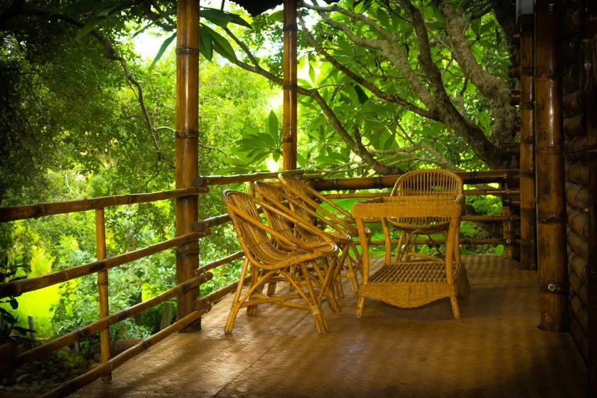 Bamboo House in a Lush Forest - Image 1