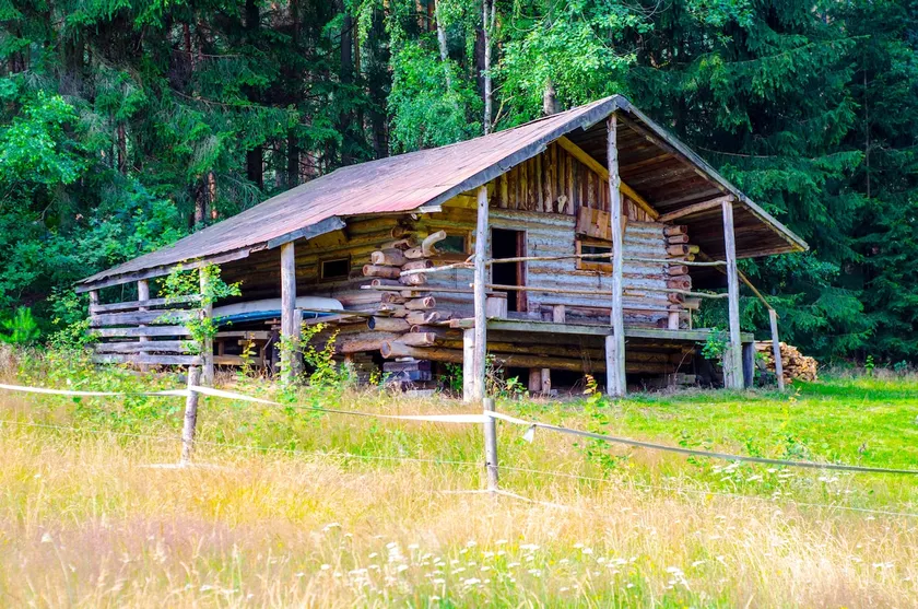 Cabin in the wilderness - emergency shelter - Image 1