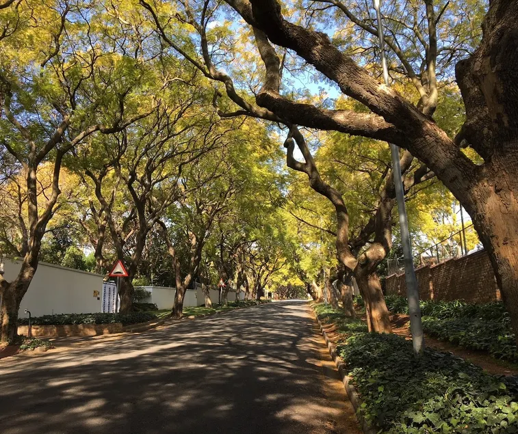 Home From Home, Waverley B&B, Johannesburg - Image 1