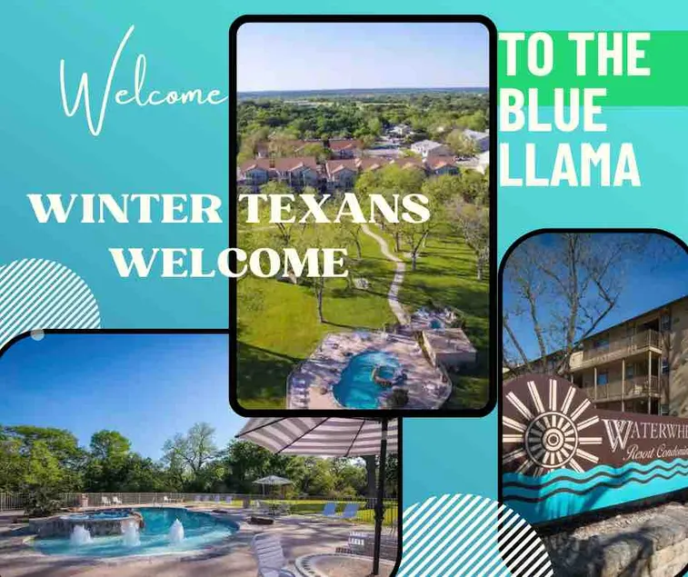 The Blue Llama-L303 * 2 pools 4 hot tubs/river - Image 1