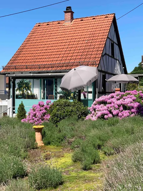 Vacation home with sauna, conservatory and terrace in the beautiful Taunus, quiet location! - Image 1