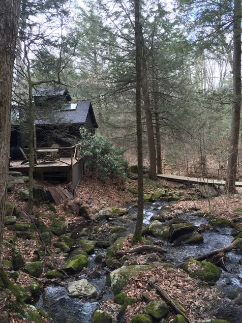 Secluded cabin with babbling brook - Image 1
