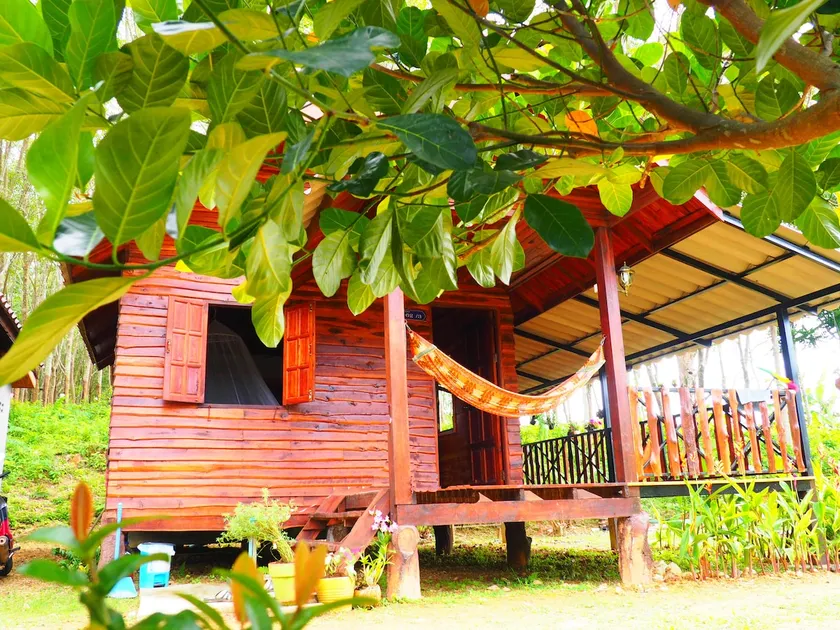 Sonya Jungle (Villa) - Image 1