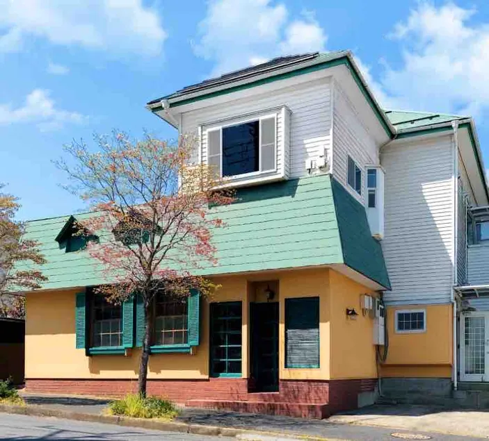 Room 203. Private space, not shared. Loft garden apartment. 5 min to station, 2 stops direct to Narita Airport, free pick up for more than 15 days - Image 1